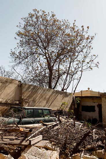 Range Rover vert / Jordanie (2019)