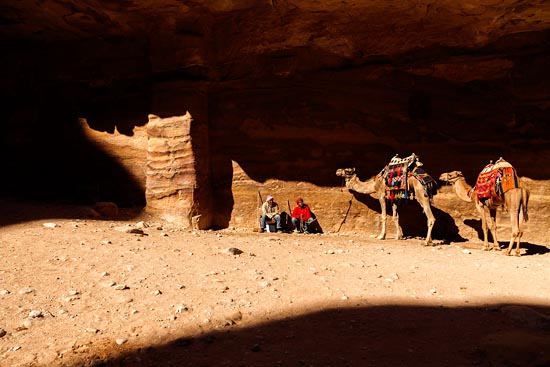 Jordaniens et dromadaires / Jordanie (2019)