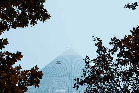 Tree Building III / New York, USA (2022)