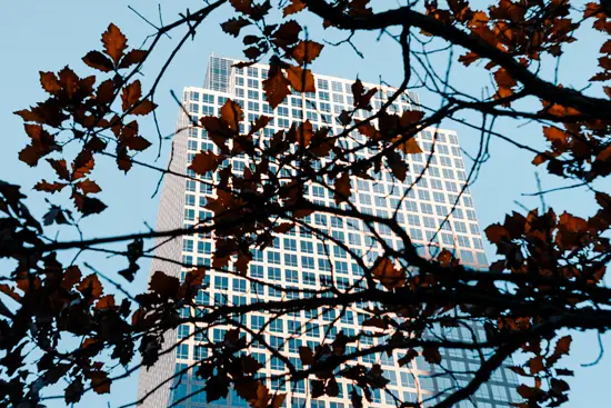 Tree Building IV / New York, USA (2022)