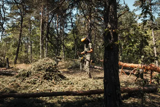 Broyer les branches au débrouissailleur / France (2025)