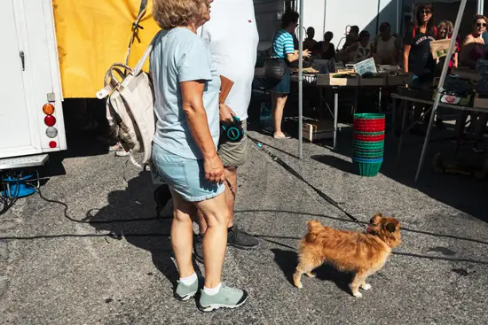 Couple et petit chien au marché / France (2025)