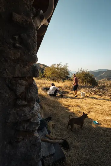 Les canailles du rougail au petit matin / France (2025)