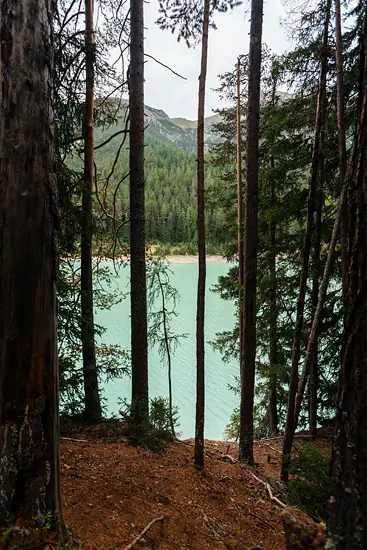 Un lac bleu à travers les arbres / Italie - Été (2026)