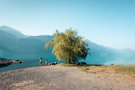 L'arbre, le lac et les filles / Suisse - Été (2026)