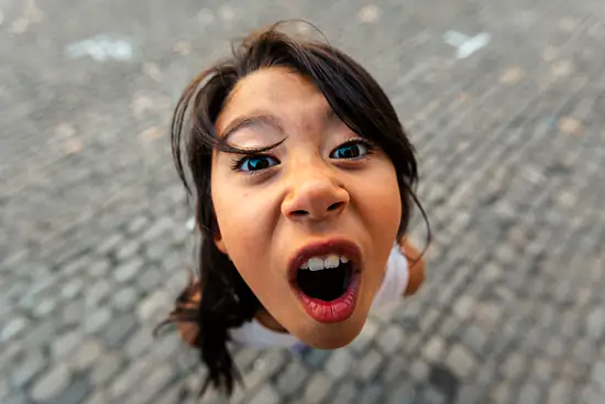 Tête de Nala sur le parvis de la cathédrale de Bern / Suisse - Été (2026)