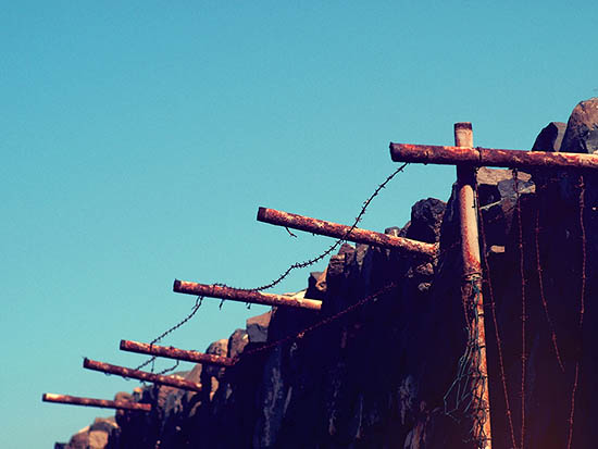 Barbed wire Paradise (2011)