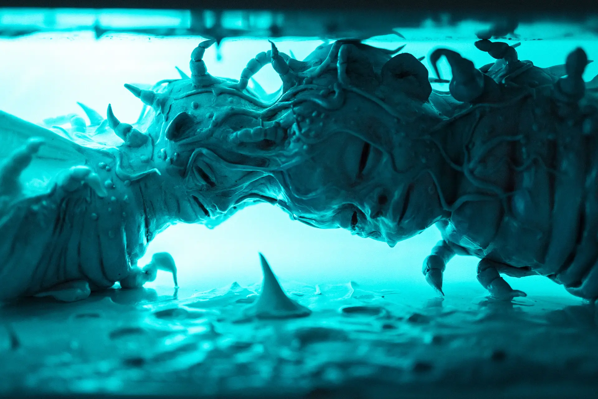 Lili-Rose EATON / Les habitées