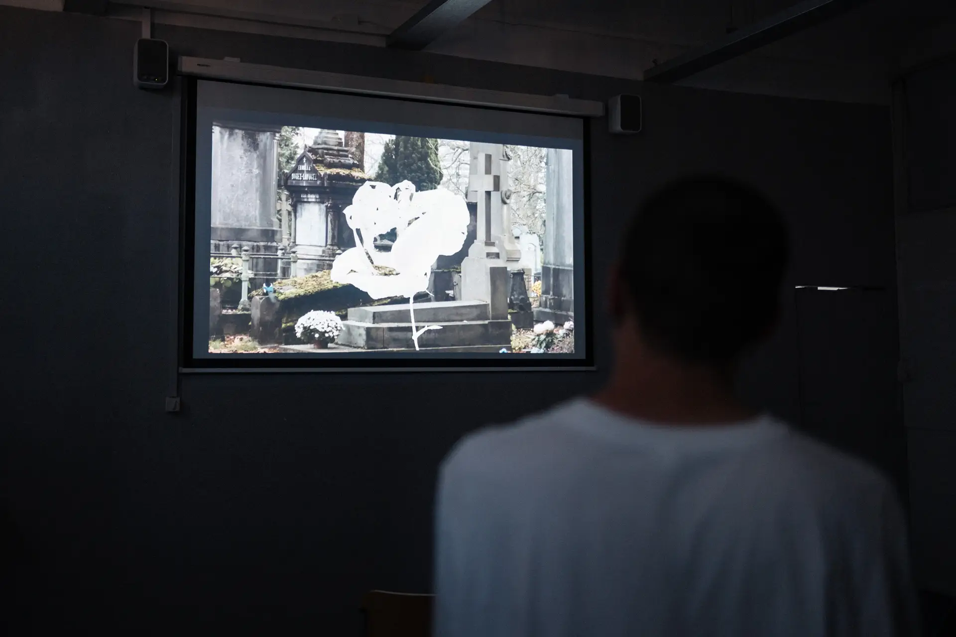 Elsa FIEF / Surexposée.s