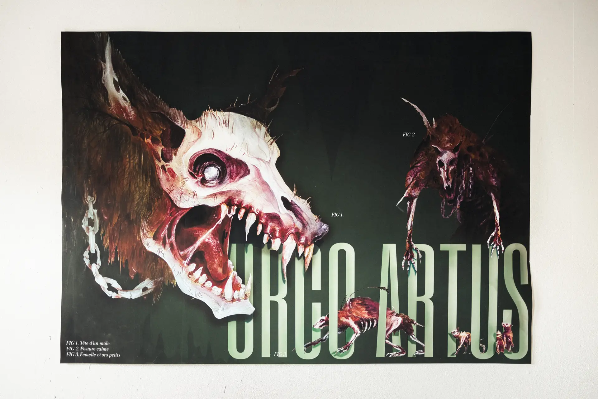 Anna BOURREZ / Une planète nommée Gaïa