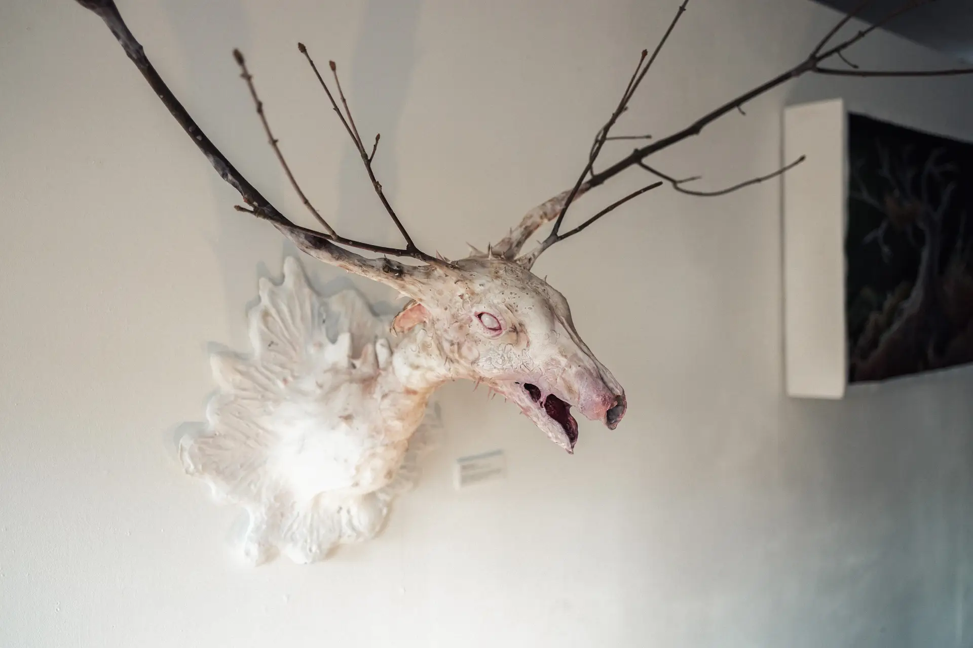 Anna BOURREZ / Une planète nommée Gaïa