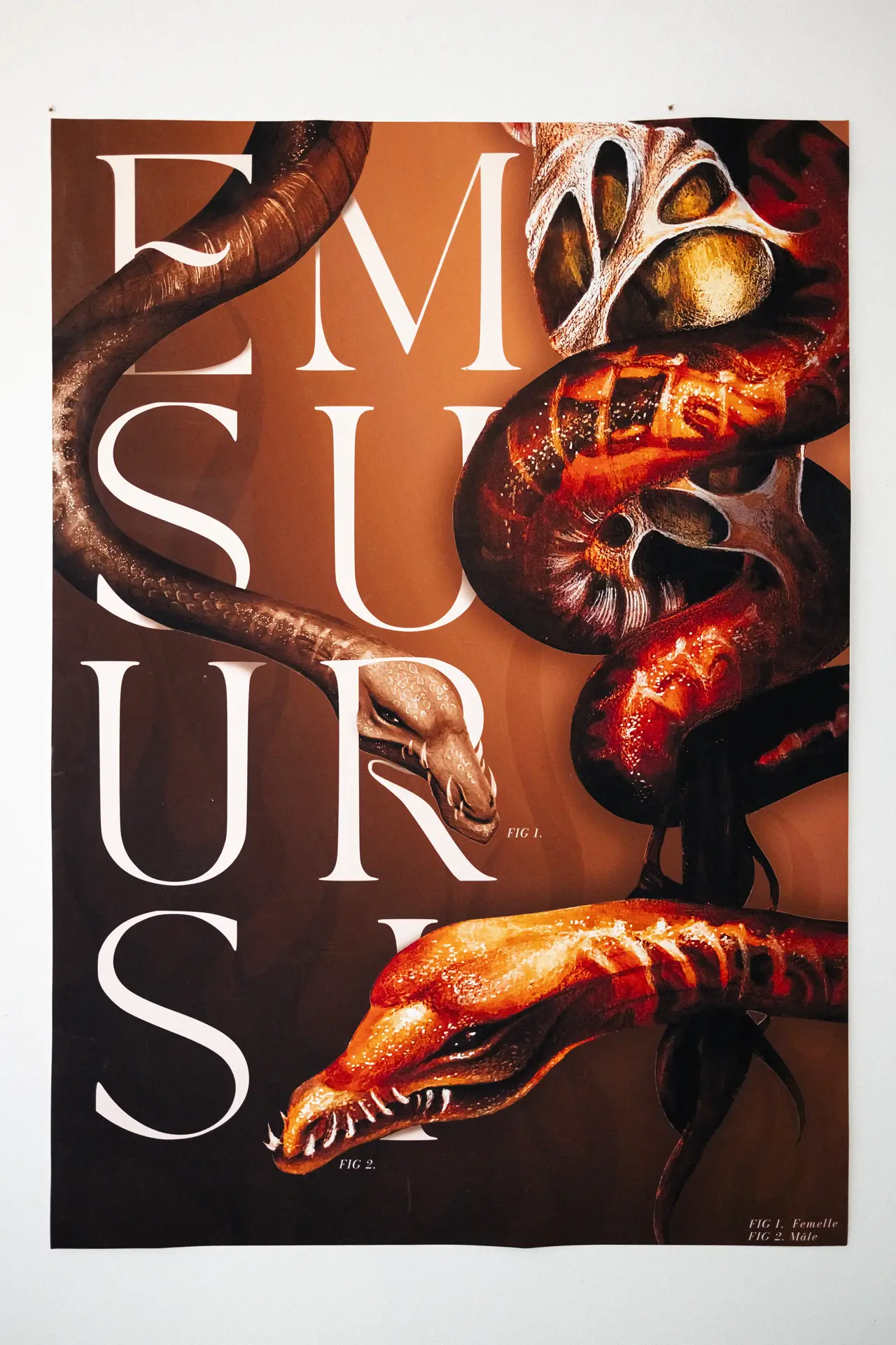 Anna BOURREZ / Une planète nommée Gaïa