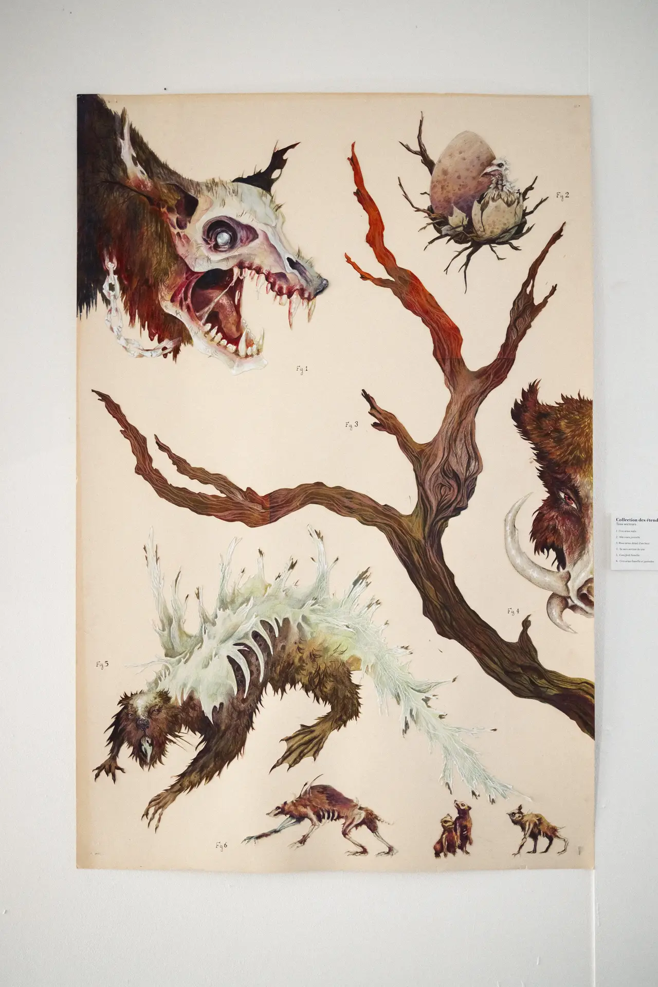 Anna BOURREZ / Une planète nommée Gaïa